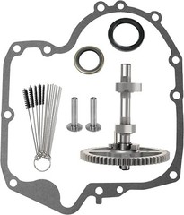 793880 Camshaft For BS 84005207,697110,793583,792681,791942,795102+697110 795387