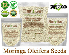 Moringa Oleifera Seeds 1 oz. Each WINGLESS & SHELLED Fresh Semillas De Moringa