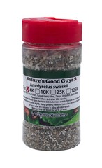 NaturesGoodGuys – Amblyseius Swirskii – Predatory Spider Mite Control