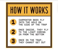 New Bees ‘N Things Outdoor Carpenter Bee Traps – Lot of 2