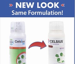 Celsius Herbicide 10 ounce bottle, *****BLOWOUT SALE****