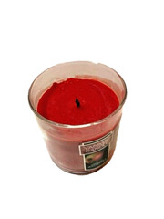 10 pc Yankee Candle MACINTOSH 7 oz Tumbler, 3.7 oz Votives, Tarts, Air Freshener