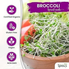Organic Broccoli MICROGREEN Seeds | Heirloom | Non-GMO | Seeds for Sprouting