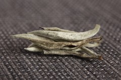 500g Puerh Tea Raw Tea White Hair Silver Needle Single Bud White Tea Loose Tea