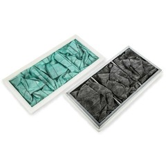1-Micron Activated Carbon Inner Air Filter for Allergen/Odor Removal, Two Pack