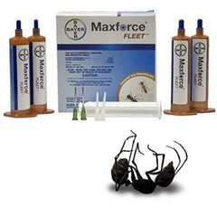 MAXFORCE Bayer ANT Killer — Gel Bait and Arenas/Stations **SAME DAY SHIPPING**