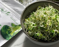 Organic Broccoli Seeds for Sprouting – Non-GMO, Kosher, Raw – by Food To Live