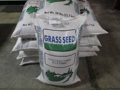 New CONTRACTOR’S MIX GRASS SEED Kentucky 31 Ryegrass Quick Germination Full Sun