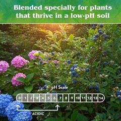 Down to Earth (#17803) All Natural Acid Mix Blended Fertilizer 4-3-6, 1 lb
