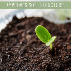 Organic Worm Castings, All Natural Soil Amendment, Soil Builder, and Fertilize