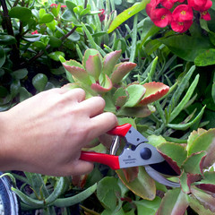 CORONA HIGH-CARBON STEEL BYPASS HAND POCKET PRUNER WITH CUSHION GRIP !!!!!!!!!!!