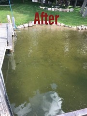 Beachroller – Lake Weeds and Muck Gone! SCRATCH & DENT SALE- SAVE $$$$!!