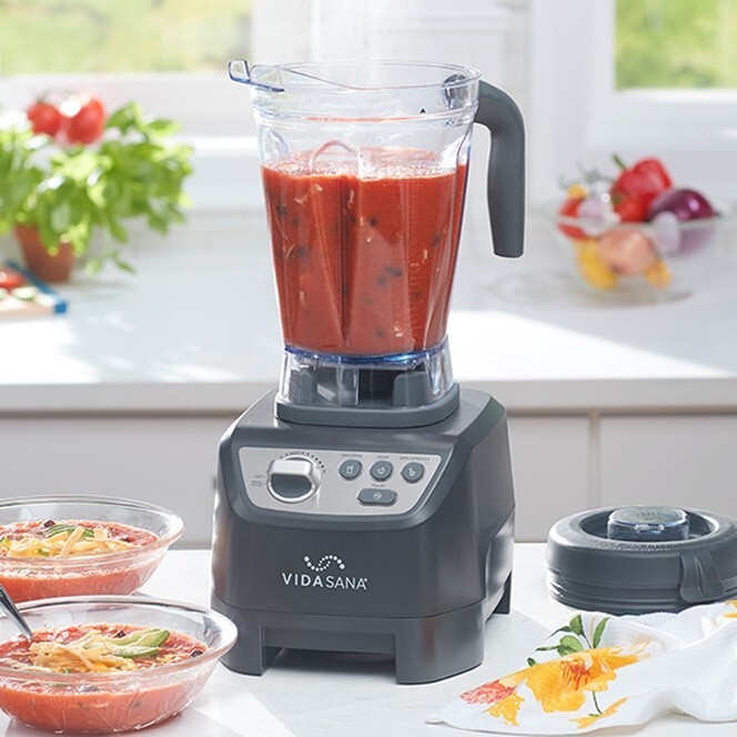 Princess House VIDA SANA Electrics High-Power Blender-Licuadora