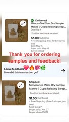 Dried Silk Mimosa Tree Fragarant Pink Flowers Tea Tincture Albizia Julibrissin