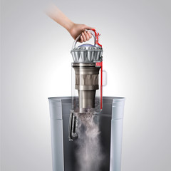 Dyson Ball Animal 2 Upright Vacuum | Iron | Refurbished