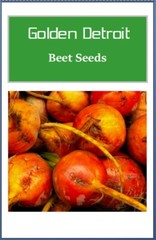 Golden Detroit Beet Seeds | NON-GMO | Heirloom | Fresh Garden Seeds