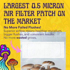 6 lb All-in-One Mushroom Grow Kit In Bag