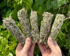 Rosemary Sage Smudge 4″ Sticks: Choose How Many (Wholesale Lots, Fresh Premium)