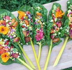 200 Rainbow Swiss Chard Seeds-Open Pollinated-Non GMO-Organic