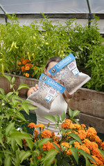 3000 Live Ladybugs – (2 X 1500 Live Ladybugs) – Guaranteed Live Delivery!