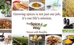 The Spice Way Cloves Whole