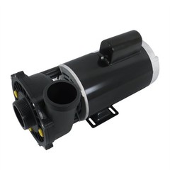 Executive 56-Frame 4HP Dual-Speed Spa Pump, 2in Intake, 2in Discharge