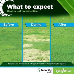 Tenacity Herbicide, 8 oz. Bottle, Covers 1 Acre, Syngenta Selective Herbicide