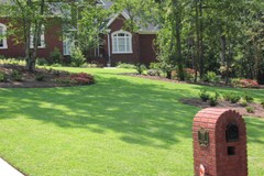 Tifblair Centipede Grass Seed (Certified) – Select Your Size