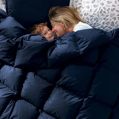 The Company Store LaCrosse Premium Down Light Warmth Comforter Queen/King