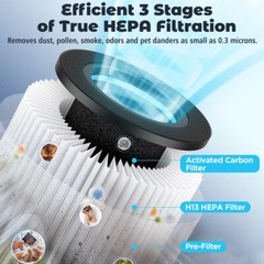 Air Purifiers For Home Room True HEPA Washable Filter Allergies Smoke Pets