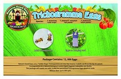 Bug Sales Caterpillar & Moth Exterminator- Trichogramma 30 Squares/ 100,000 Eggs