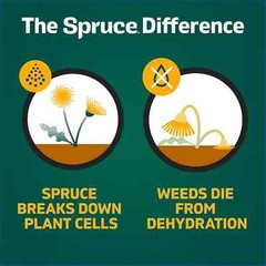 Spruce Snap & Spray Weed & Grass Killer 64oz Refill, Results in 1 Hour Free Ship