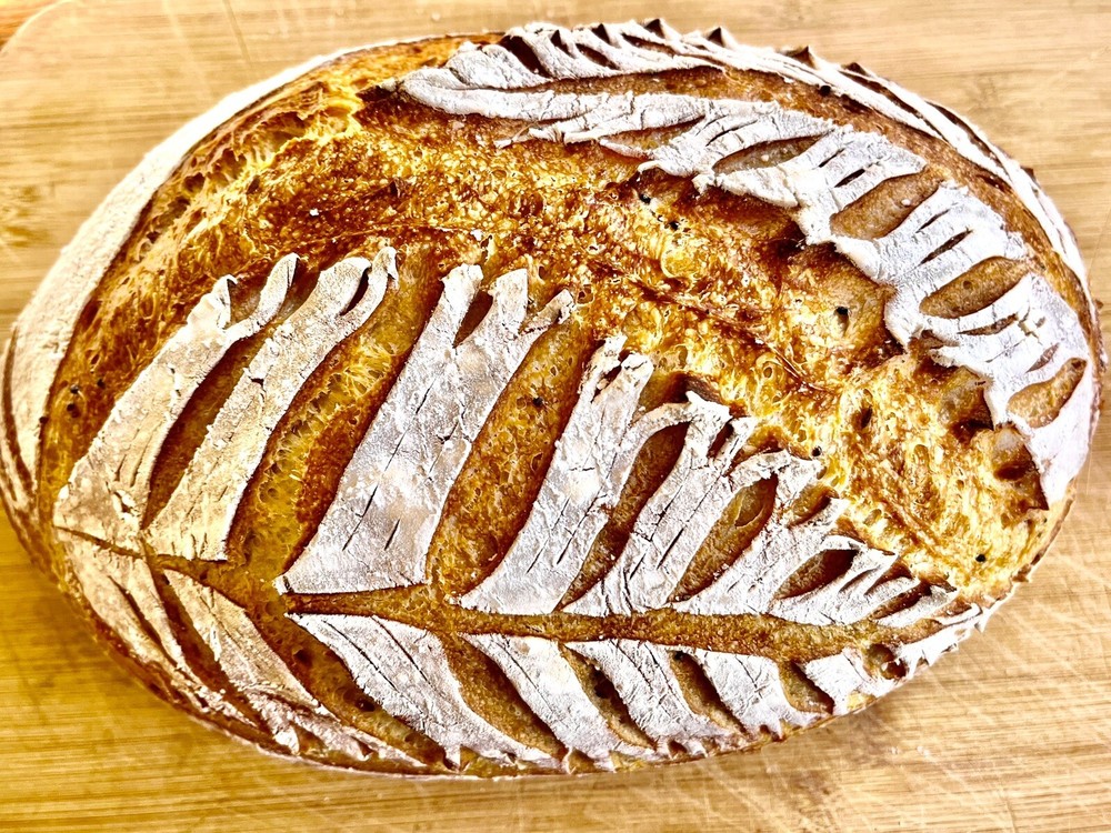 FREE SHIPPING Sourdough Starter Verified Live Boston – 221yr Old TOP SELLER!