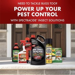 Spectracide Triazicide Insect Killer for Lawns Granules Kill Lawn-Damaging 10LB