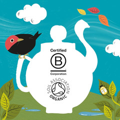 Clipper Tea, Organic Fairtrade Everyday, Organic, USDA Non-Gmo, Fair Trade