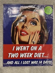I Went On A Two Week Diet…And All I Lost was 14 Days! 12″ x 15″ Metal Sign