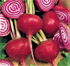 Crosby Egyptian Beet Seeds 100+ SEEDS NON-GMO –BUY 4 ITEMS FREE SHIPPING