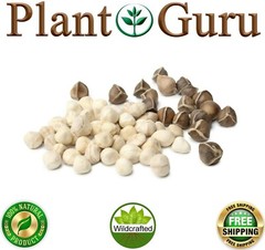 250 Moringa Oleifera Seeds Kernel 2 oz. SHELLED Fresh Organic Semilla De Moringa