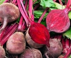Beet Root Powder Beta Vulgaris Nitric Oxide Extract Superfood Row Non Herbal…
