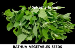 Natural Bathua Seed for Planting | Chenopodium Seeds | Lamb’s Quarters