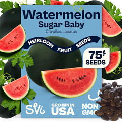 75 Sugar Baby Watermelon Seeds for Planting (Citrullus Lanatus) – Sweet Watermel