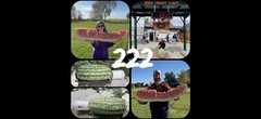 222 Lb Giant Watermelon. $25For 5 Seeds. Free Shipping Worldwide!!
