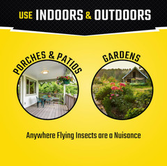 Black Flag Fly Paper, Insect Trap, Catches All Flying Insects 4 Traps