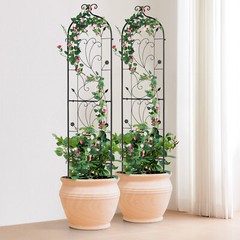 2 Packs Metal Garden Trellis 60″ x 15″ for Climbing Plant Support Rustproof