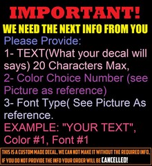 1″ 2″ 3″ 4″ HIGH CUSTOM TEXT NAME Personalized Vinyl Lettering, Car, Door, Windo