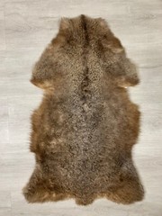 Real Tibetan Sheepskin Rug | Luxurious Natural Fur Accent for Any Room Accent