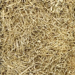 EZ Straw Seeding Mulch with Tack, 2.5 Cubic Feet (Pack of 1)