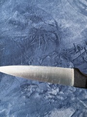 Wusthof Gourmet Paring Knife 4022/8cm/3 inch Solingen Germany Pre-owned
