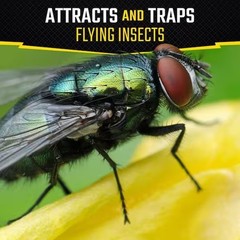 Fly Stick Insect Trap (2-Pack)