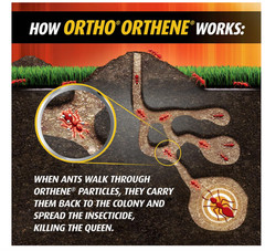 Ortho Orthene Fire Ant Killer (Twin Pack) – New Sealed